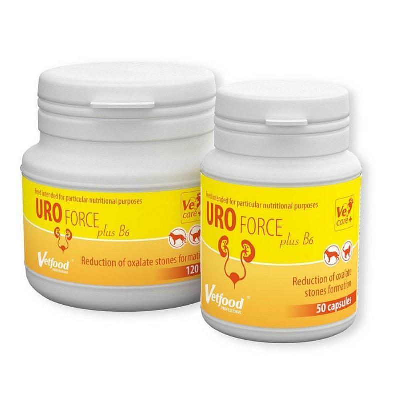 Vetfood Uro Force PLUS B6