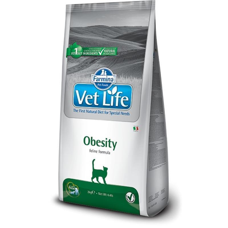 Vet Life briketi za mačke Obesity