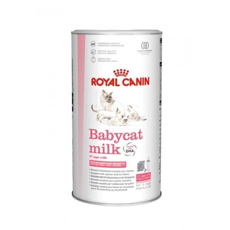 DONACIJA: RC mleko za mačje mladiče v Zavetišču Mačja hiša