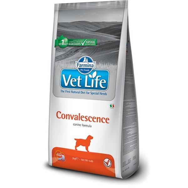 Vet Life briketi za pse Convalescence 2kg