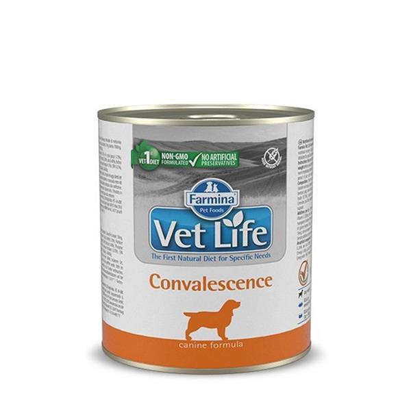 Vet Life mokra hrana za pse Convalescence 300g