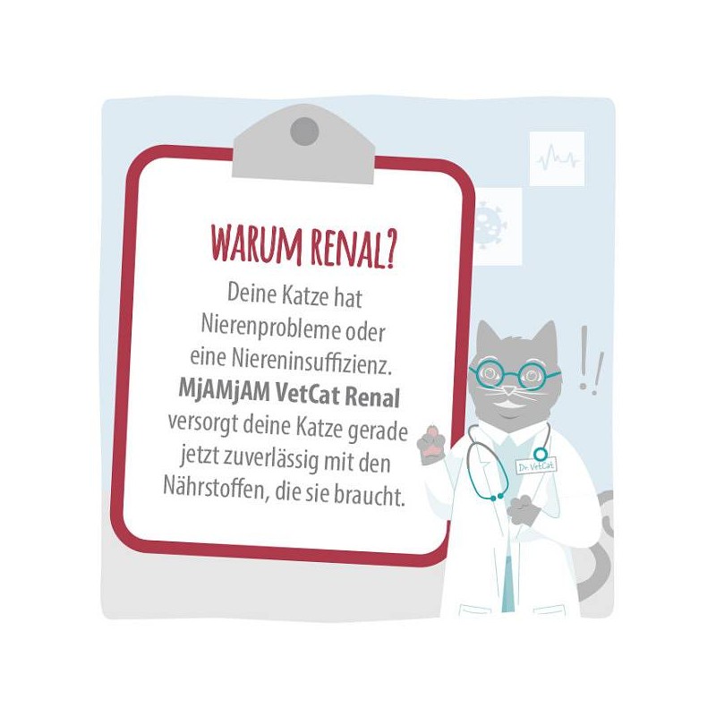 Mjamjam VetCat Renal Puran 200g