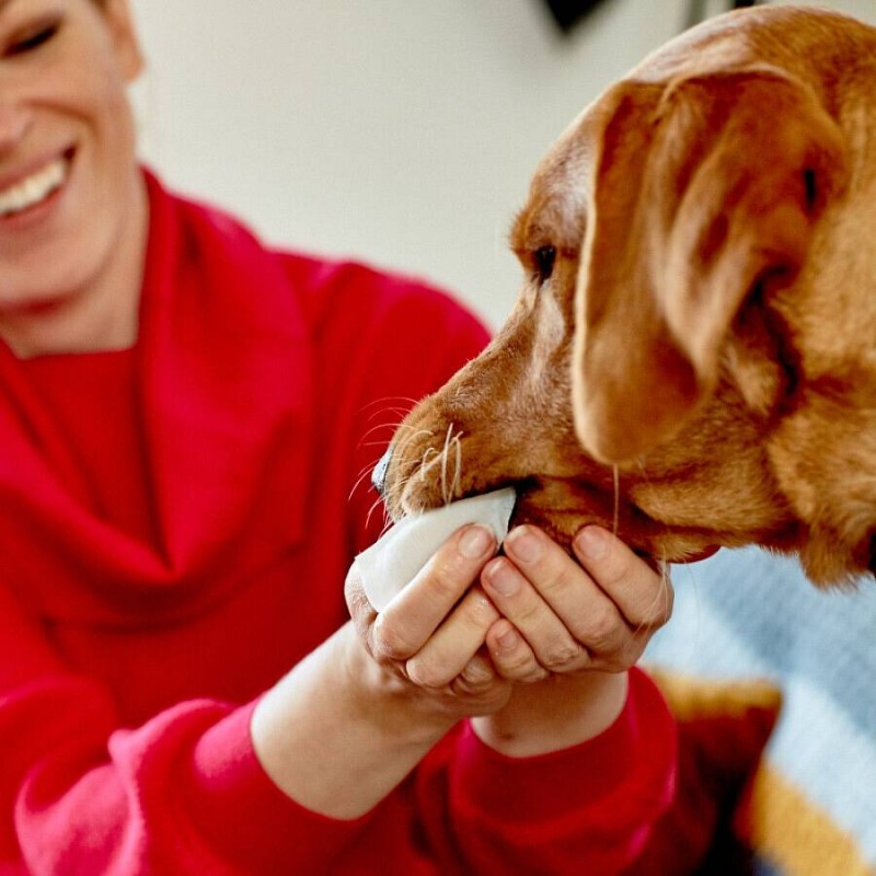 VetsBest Clean Teeth