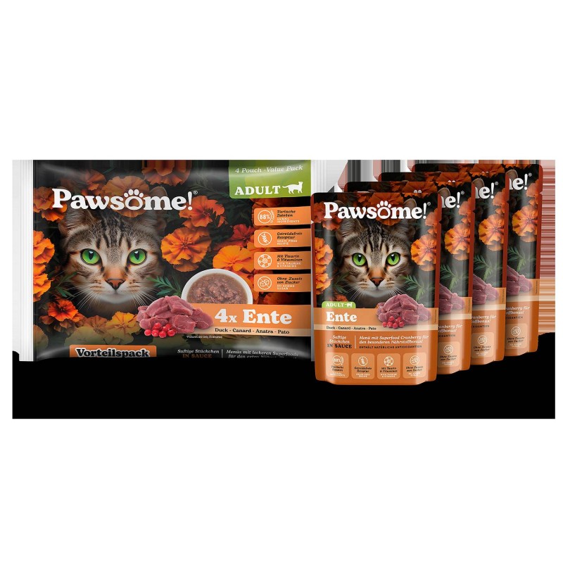 Pawsome Adult Raca 4X85 g