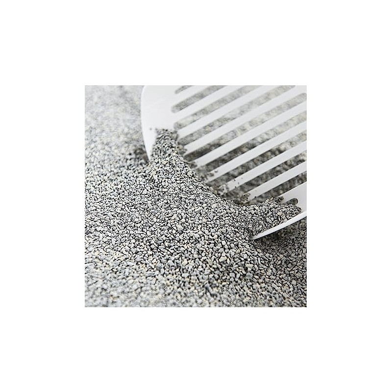 Intersand posip Odourlock Borotalco