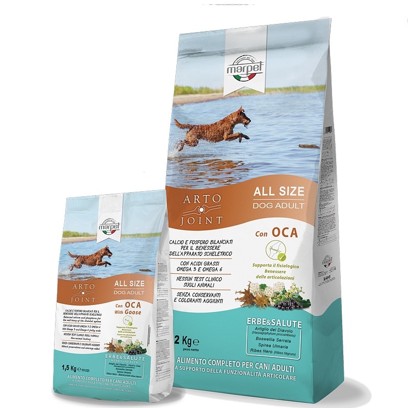 Æquilibriavet Arto Joint Goska