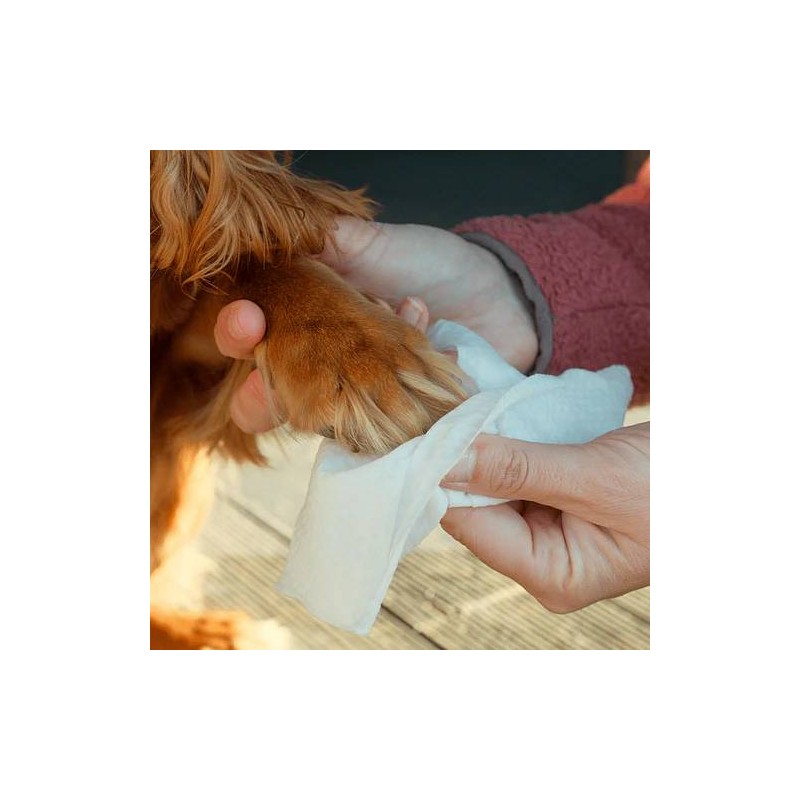 Beco Bamboo Travel Wipes dišeči