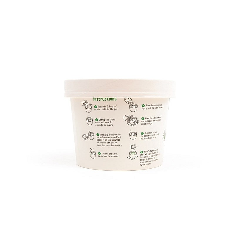 King Cat Vrtiček mačje trave