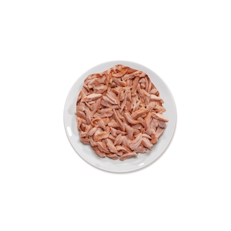 Lifecat vrečka losos 70g