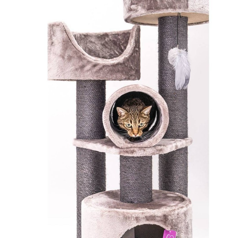 Petrebels Victoria 125