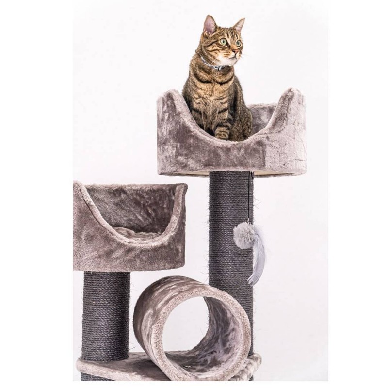 Petrebels Victoria 125