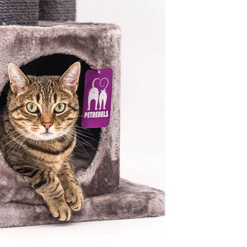 Petrebels Victoria 125