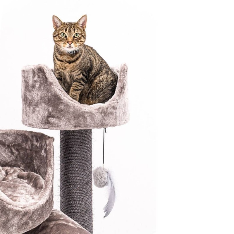 Petrebels Victoria 125