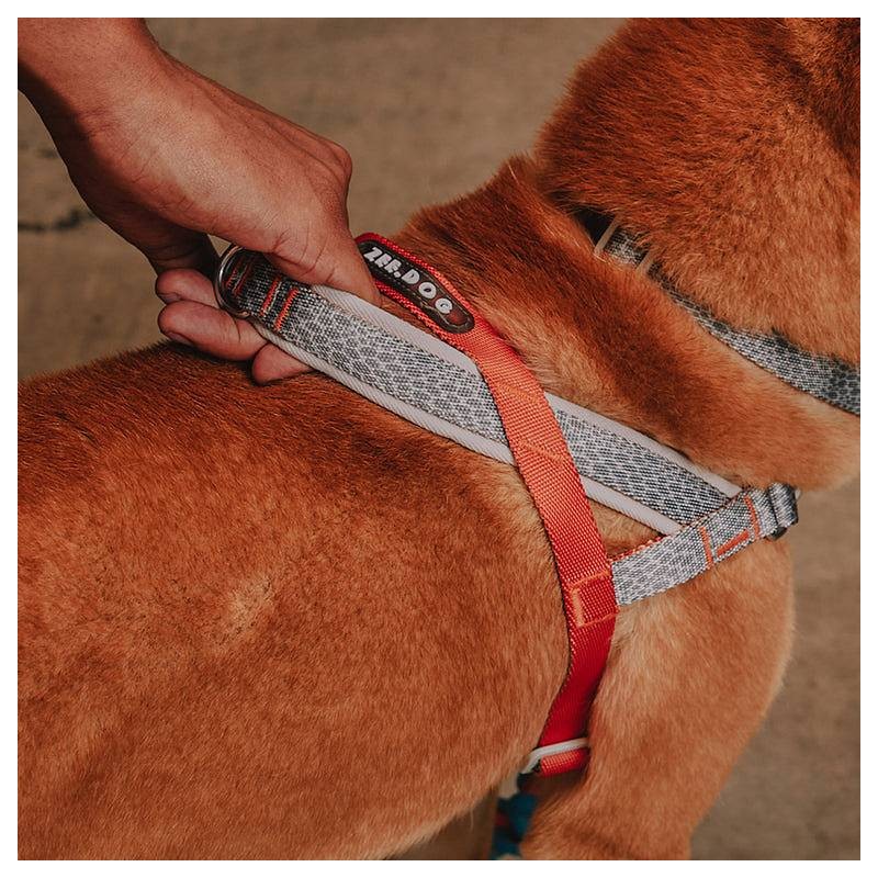 Zee.Dog Softer Walk oprsnica Suede