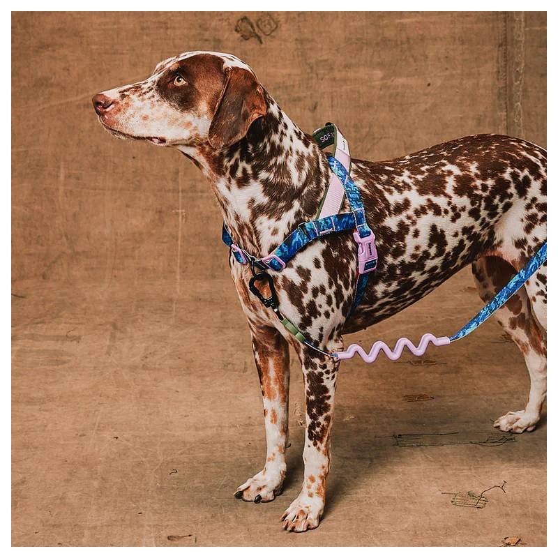 Zee.Dog Softer Walk oprsnica Trekk