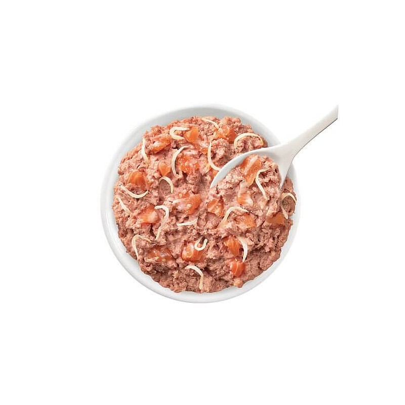 Lifecat Urinary Losos z inčuni 70g