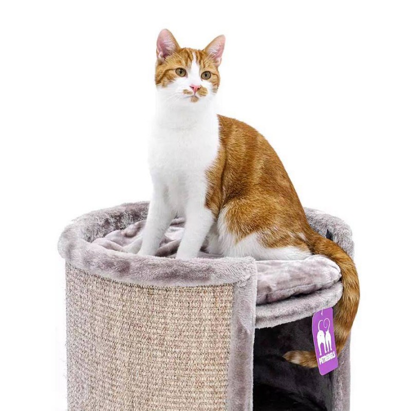 Petrebels Superdome 100