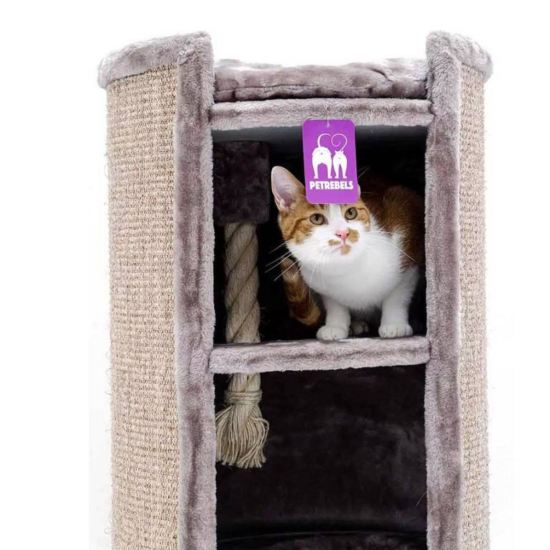 Petrebels Superdome 100