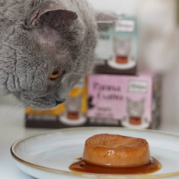 Mjamjam Panna Gatto Piščanec s krono 2x80g