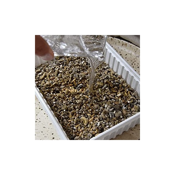 Gimcat Mačja trava 150g