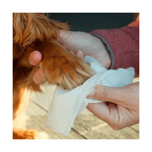 Beco Bamboo Travel Wipes dišeči