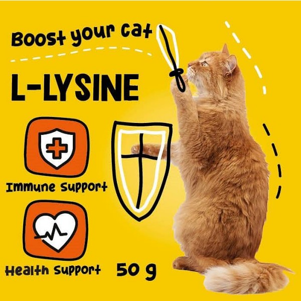 Excellent Pets L-Lysine