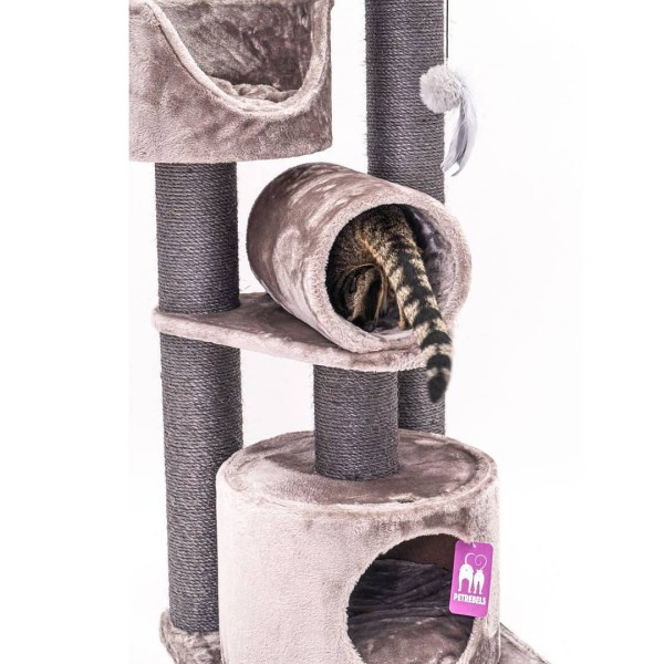 Petrebels Victoria 125