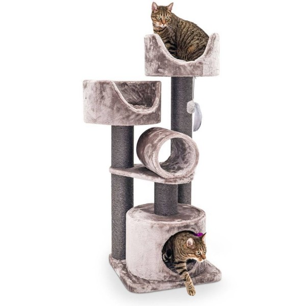 Petrebels Victoria 125