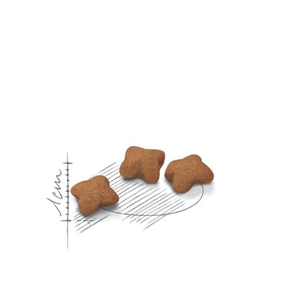 Royal Canin briketi Sterilised Kitten