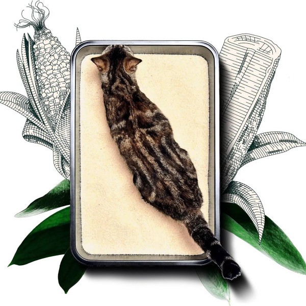 Posip Sustainably Yours Large Grains