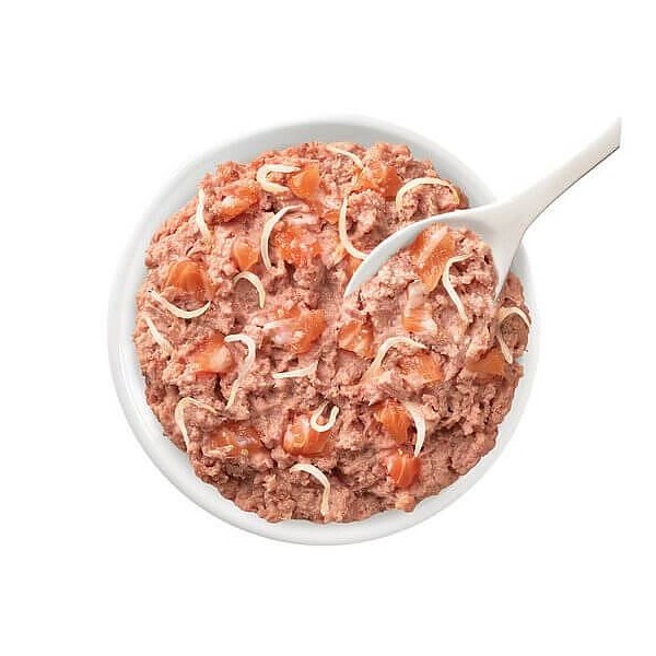 Lifecat Urinary Losos z inčuni 70g