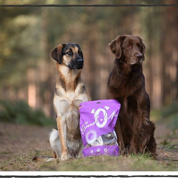 Snack O Mio Trakci konjskega fileja 70g