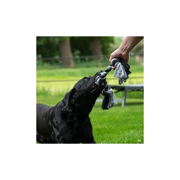 Floss Boss Dental Rope