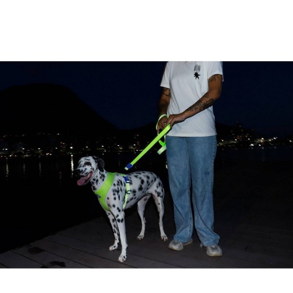 Zee.Dog pasji povodec Nox Lumen