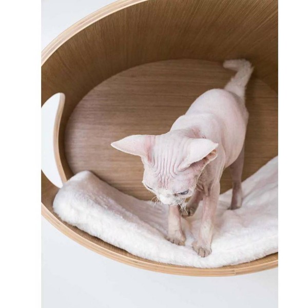 Petrebels Oval Office 60