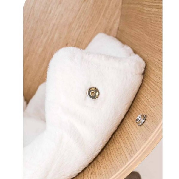 Petrebels Oval Office 60