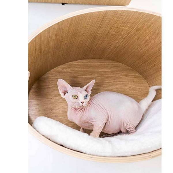 Petrebels Oval Office 60