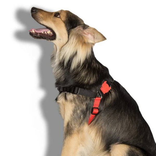 Zee.Dog Soft-Walk oprsnica Fatboy