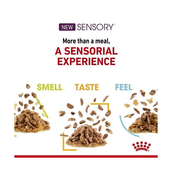 Royal Canin Sensory Smell 85g
