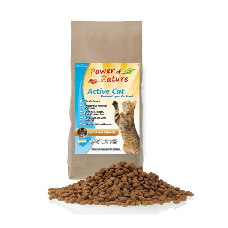 PON Active Cat Cookies Choice