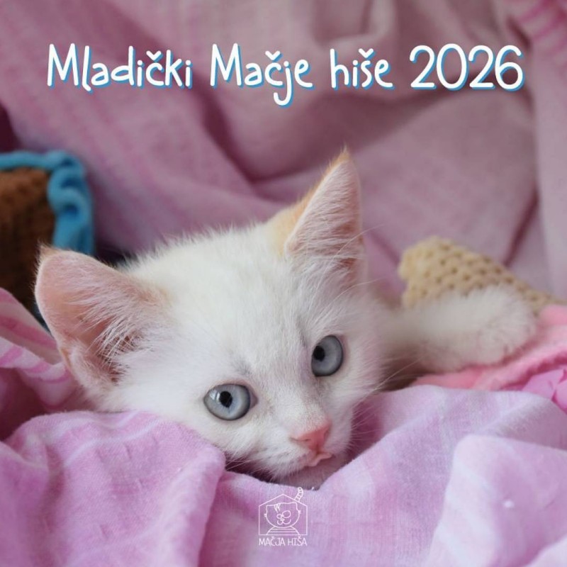 Koledar Mladički Mačje hiše