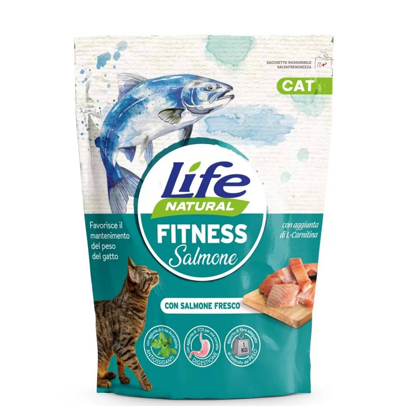 Lifecat briketi Fitness Losos