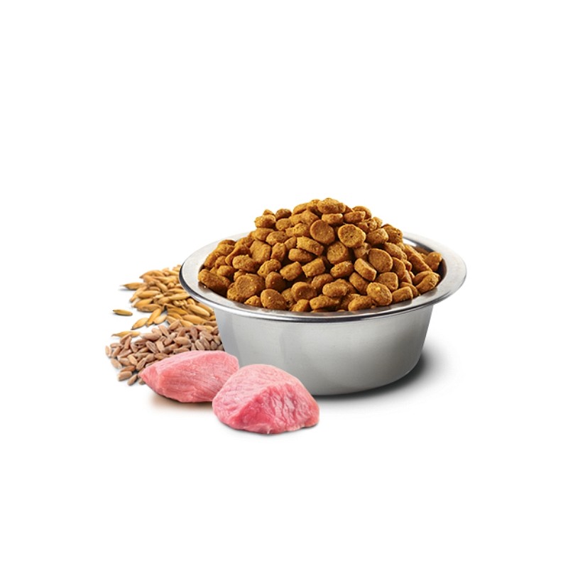 N&D Adult Dog AG SELECTION 12+3kg