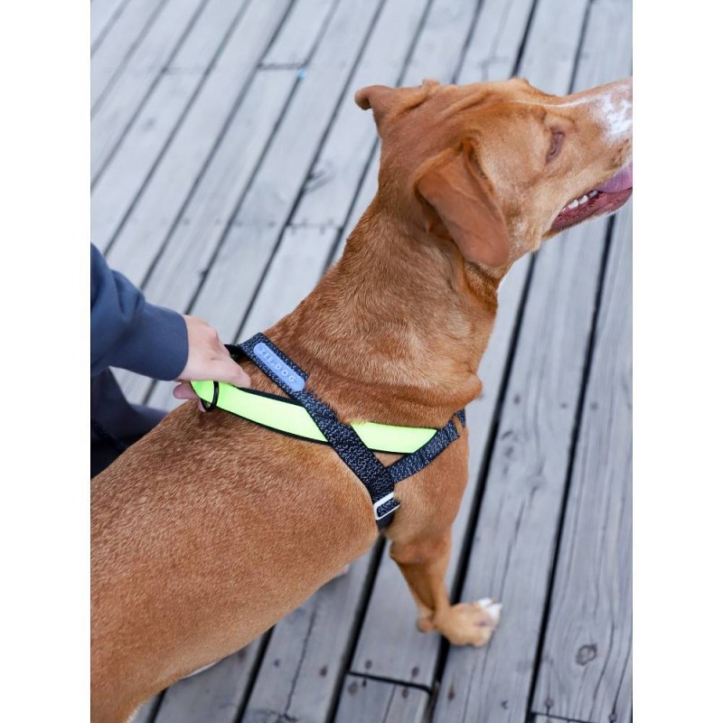 Zee.Dog Softer Walk oprsnica Nox