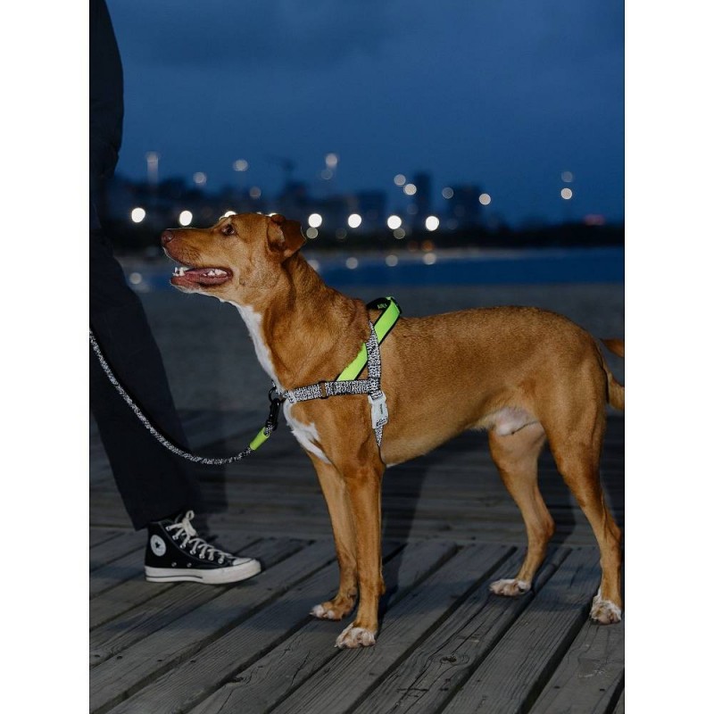 Zee.Dog Softer Walk oprsnica Nox