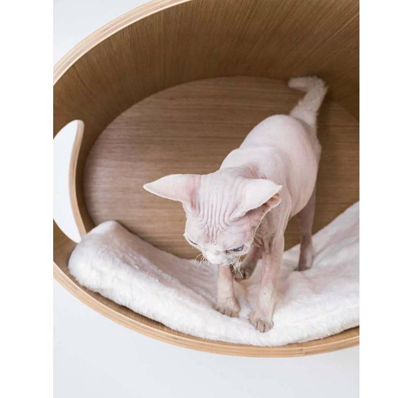 Petrebels Oval Office 60