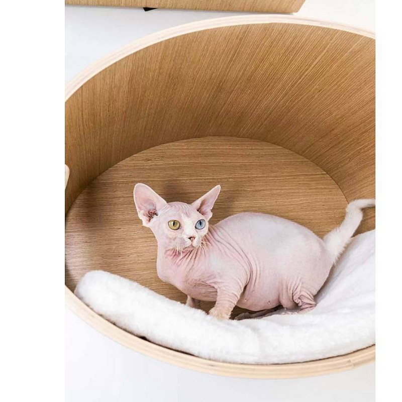 Petrebels Oval Office 60