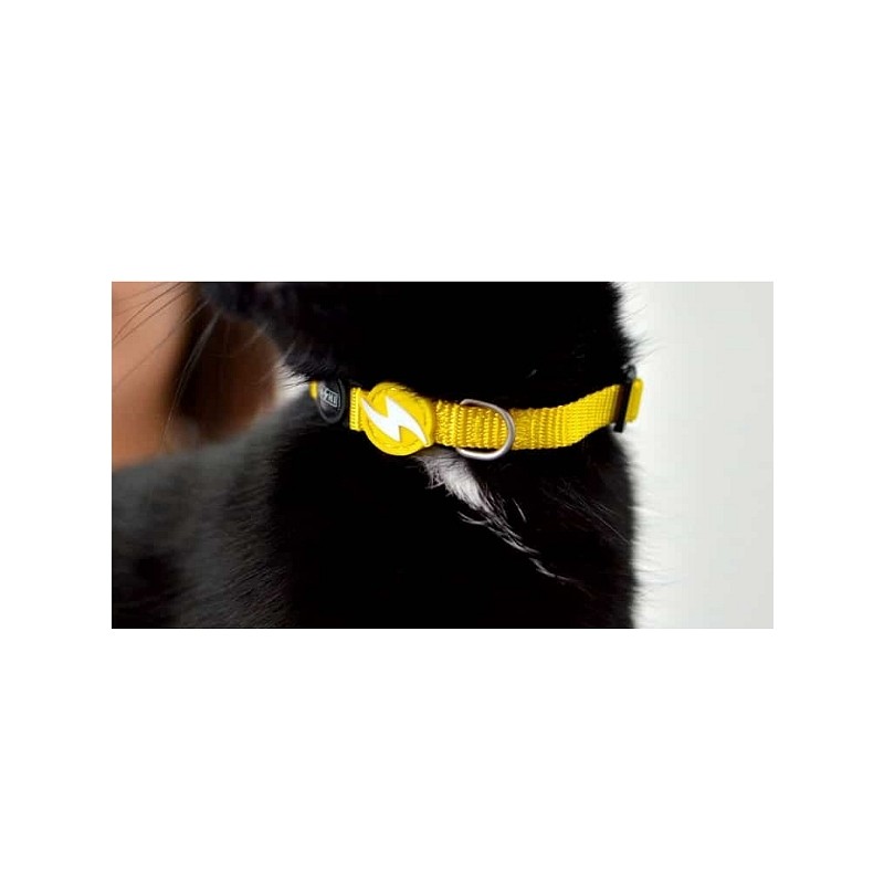 Dashi Noel mačja ovratnica