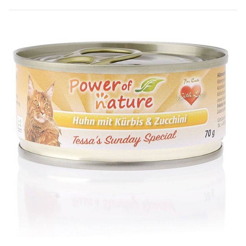 PON Piščanec in buča 70g