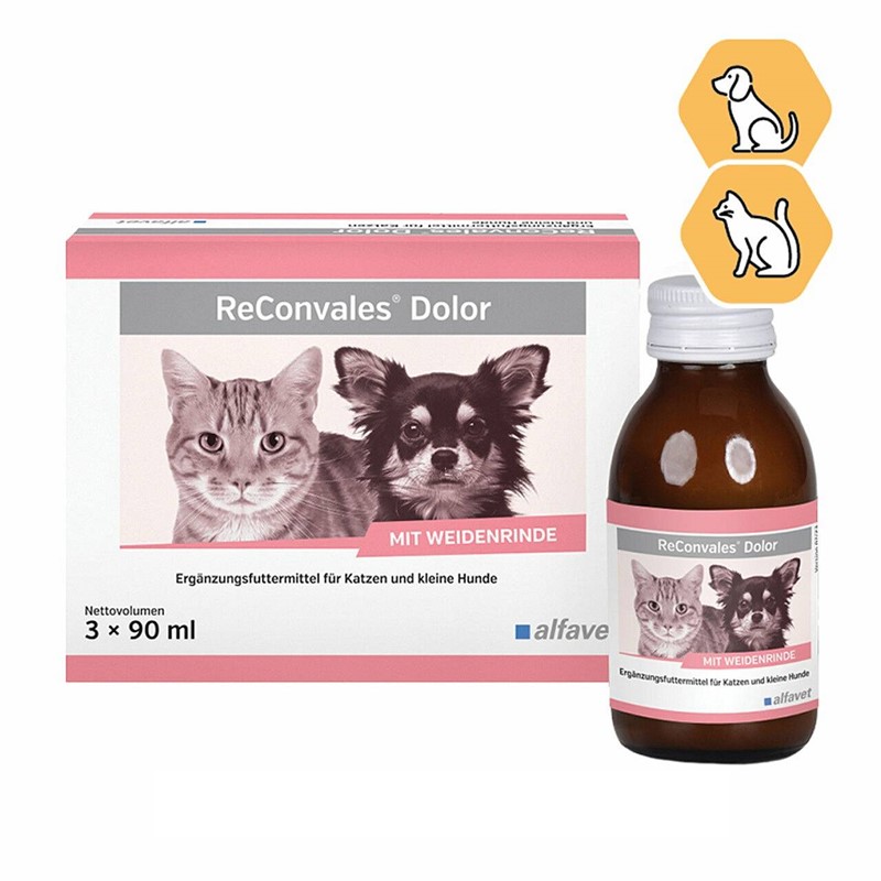 ReConvales Dolor 3x90ml